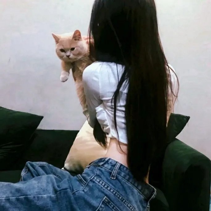 猛龙怪客4：镇压